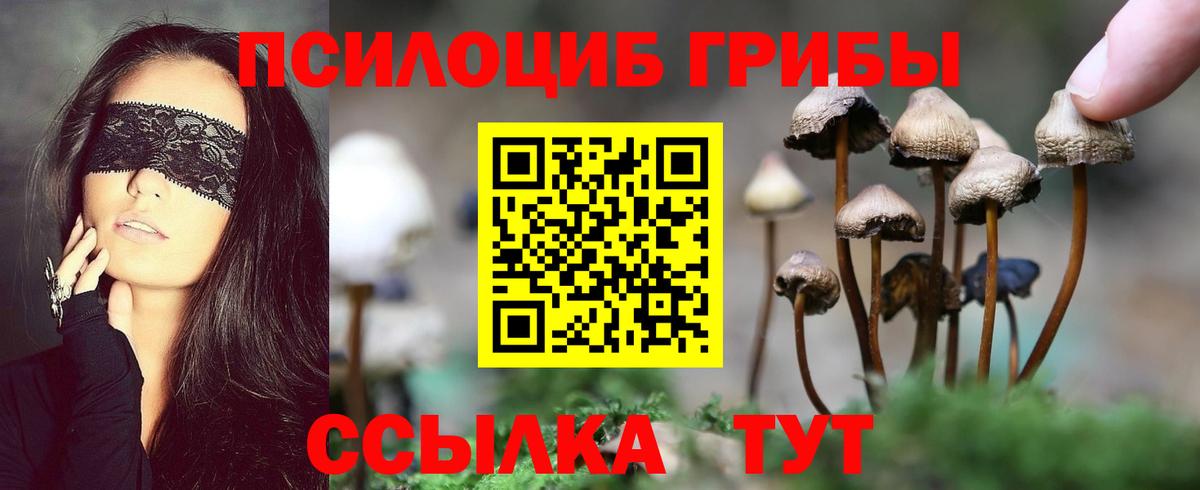 Псилоцибиновые грибы ЛСД  Вход с VPN  Южно-Сахалинск 